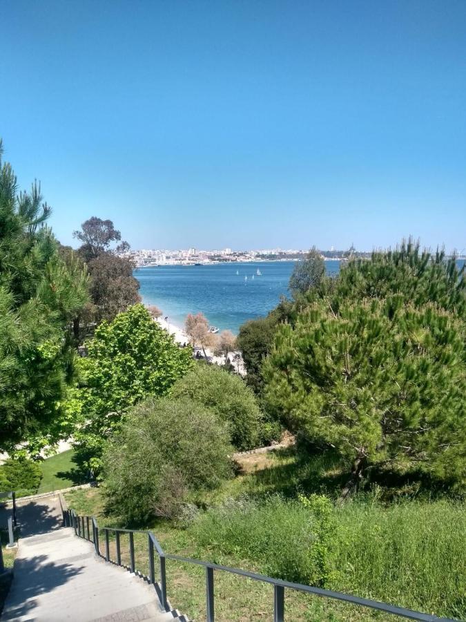 Setubal Downtown Todi I Lägenhet Exteriör bild